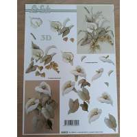 Le Suh 3D-knipvellen